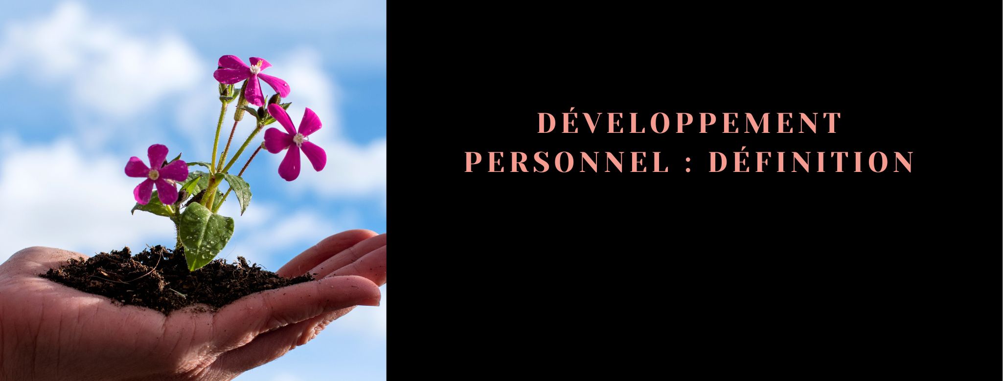 Article sur la définition sur le développement personnel